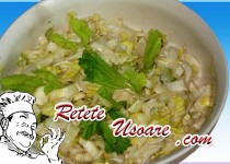 Salata de andive